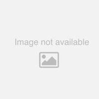 Mitutoyo MF-B2017D 176-868-10 Measuring Microscope 8x6.7"